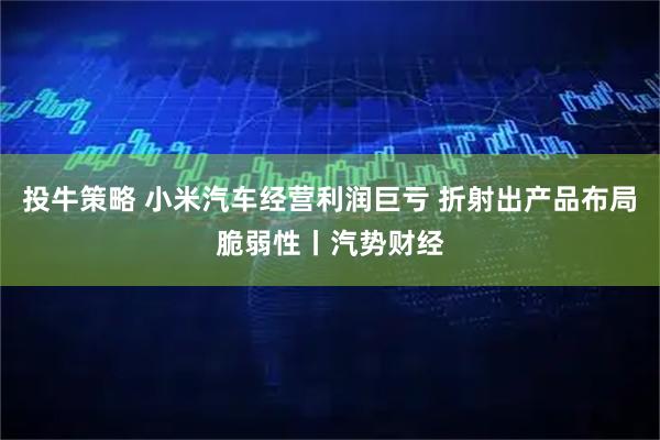 投牛策略 小米汽车经营利润巨亏 折射出产品布局脆弱性丨汽势财经